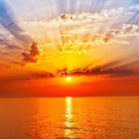 Портфолио Мила